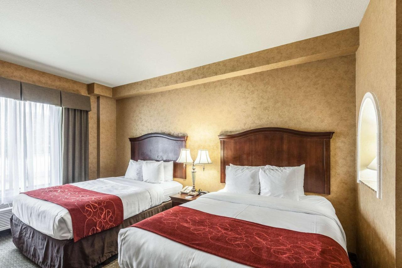 Comfort Suites Alamo-River Walk San Antonio Esterno foto