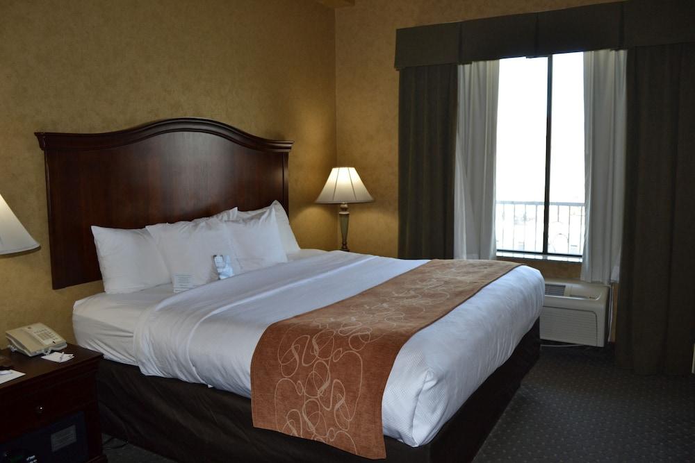 Comfort Suites Alamo-River Walk San Antonio Esterno foto